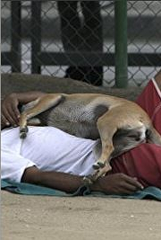 Poster 1 de Curta Passarinho (2015)