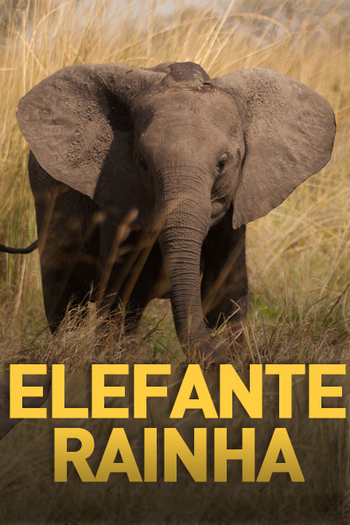 Poster de Série Elefante Rainha (2015)