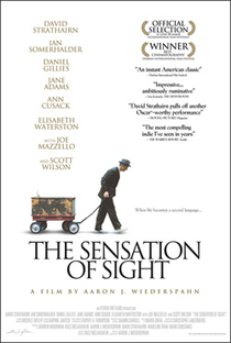 The Sensation of Sight - Poster / Capa / Cartaz - Oficial 1