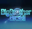 Big Brother Brasil (13ª Temporada)