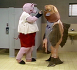 Fish Story