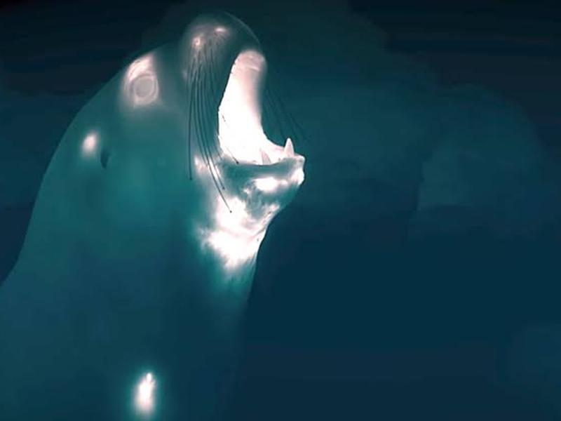 Foto 3 de A Terra à Noite