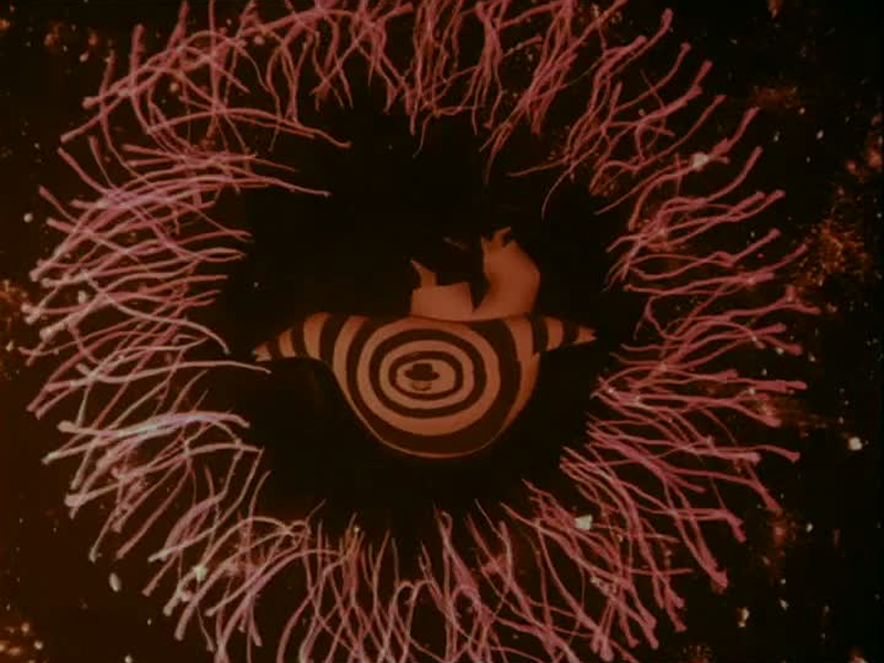 Foto 1 de Delicious Catastrophe