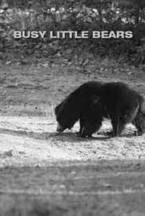 Busy Little Bears - Poster / Capa / Cartaz - Oficial 1