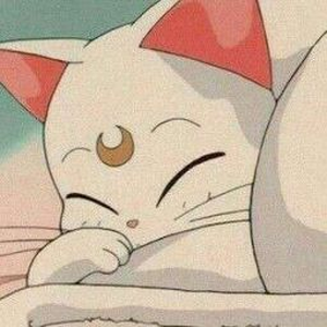 Foto de perfil de Larissa