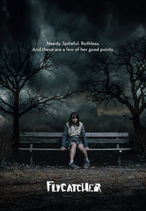 Flycatcher (Flycatcher)