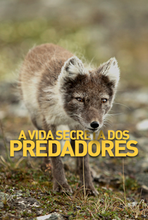 A Vida Secreta dos Predadores - Poster / Capa / Cartaz - Oficial 1