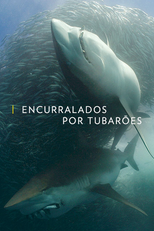 Encurralados por Tubarões (Encurralados por Tubarões)