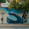 O problema de Lady Bird e a Crítica Internacional - mochi2