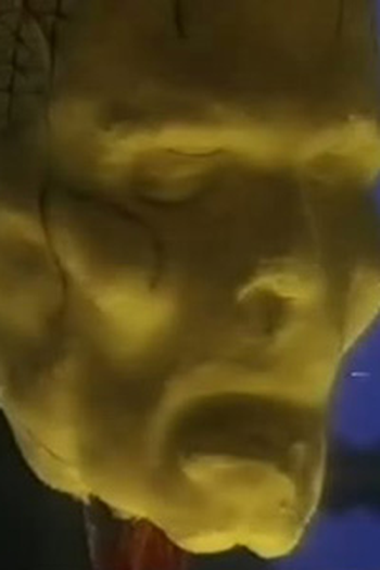 Poster de Episódio Faces in the Night (1996)