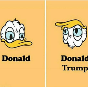 Foto de perfil de Camila Ap. da Silva