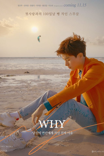  de Série WHY (2018)