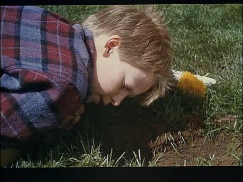 Foto 17 de Det skaldede spøgelse