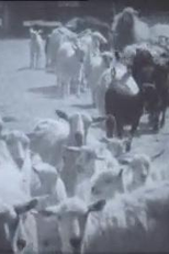 No Boats Ever Sail in the Mountains (No Boats Ever Sail in the Mountains)