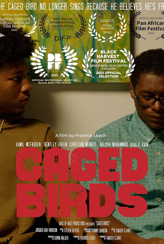 Poster 1 de Filme Caged Birds (2021)
