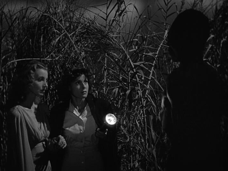 Foto 20 de A Morta-Viva