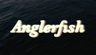 Anglerfish (Official Trailer)