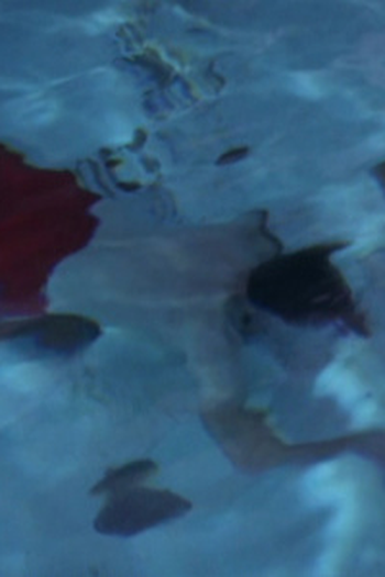 Poster de Episódio The Search for Darrell Andrews (1970)