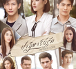 ปาฏิหาริย์รัก