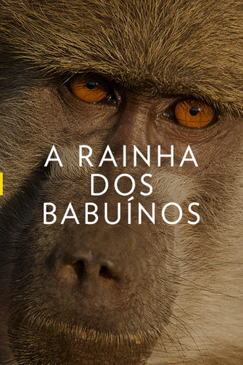 Poster de Série A Rainha dos Babuínos (2015)