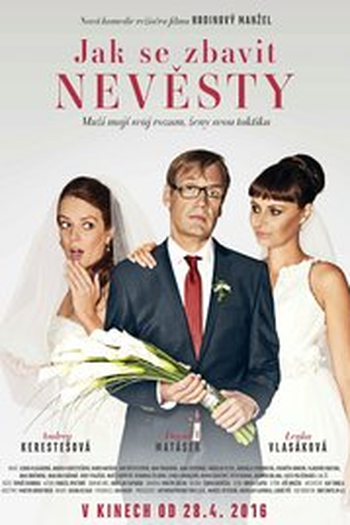 Poster de Filme How to Shake Off a Bride  (2016)