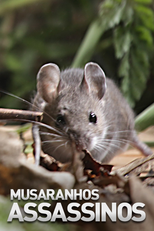 Musaranhos Assassinos (Musaranhos Assassinos)