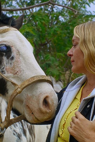 Poster 2 de Filme Magic Farm (2025)