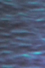 The Pacific Ocean (The Pacific Ocean)