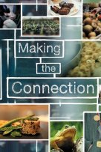 Poster de Filme Fazendo a Conexão (2013)