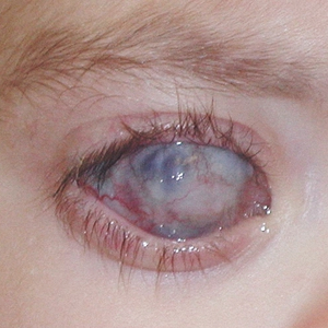 Foto de perfil de Madame satã 666