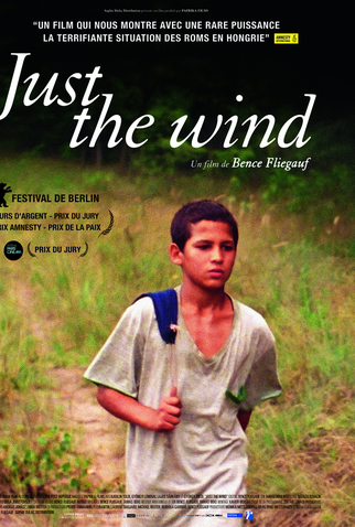Poster 3 de Filme Apenas o Vento (2012)