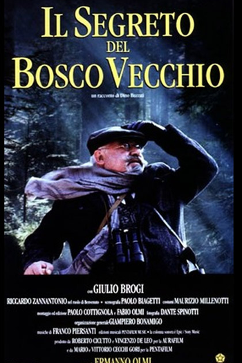 Poster de Filme O Segredo do Bosque Velho (1993)