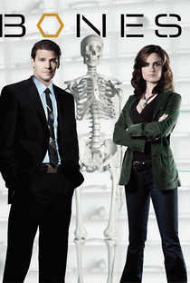 Bones (1ª Temporada) - Poster / Capa / Cartaz - Oficial 1