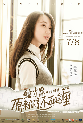 Poster 4 de Filme Never Gone (2016)