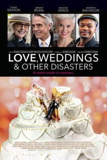 Amor, Casamentos e Outros Desastres - Poster / Capa / Cartaz - Oficial 1