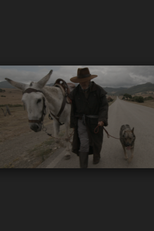 Donkeyote (Donkeyote)