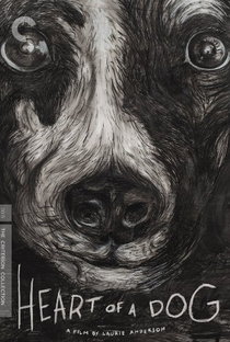 Coração de Cachorro - Poster / Capa / Cartaz - Oficial 1