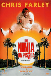 Um Ninja da Pesada - Poster / Capa / Cartaz - Oficial 2