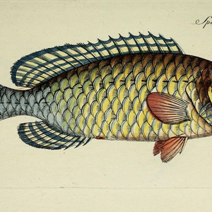 Foto de perfil de Bruna