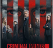 Mentes Criminosas (16ª temporada)