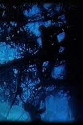 Poster de Curta La Promenade Bleue (2006)