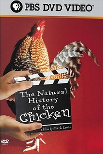 The Natural History of the Chicken - Poster / Capa / Cartaz - Oficial 1