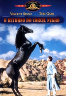 O Regresso do Corcel Negro (Black Stallion Returns, The)