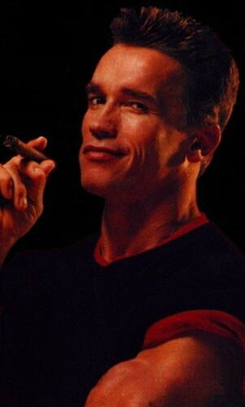 Arnold Schwarzenegger - Foto 13