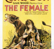 The Female