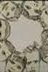 Manderlay (Manderlay)