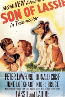 O Filho de Lassie - Poster / Capa / Cartaz - Oficial 1