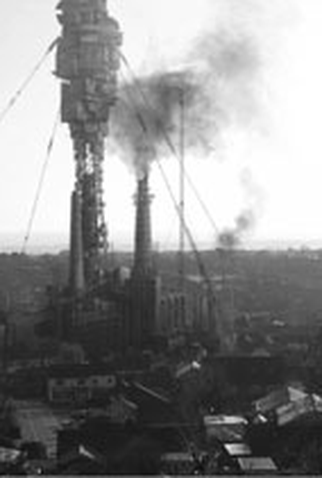 Poster 2 de Curta The Cull (2010)