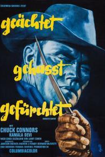 Poster de Filme O Sabre Partido (1965)