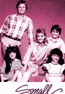 Super Vicky (4ª Temporada) (Small Wonder (Season 4))